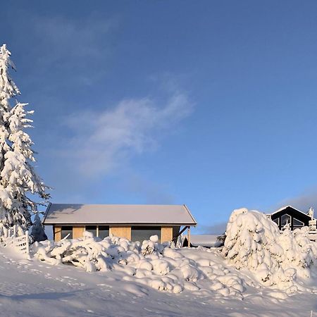 Amazing Home In Sjusjoen With Kitchen Dış mekan fotoğraf
