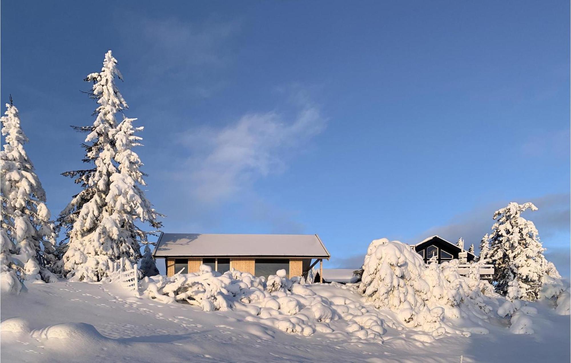 Amazing Home In Sjusjoen With Kitchen Dış mekan fotoğraf
